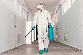 dedetizadora-em-alphaville